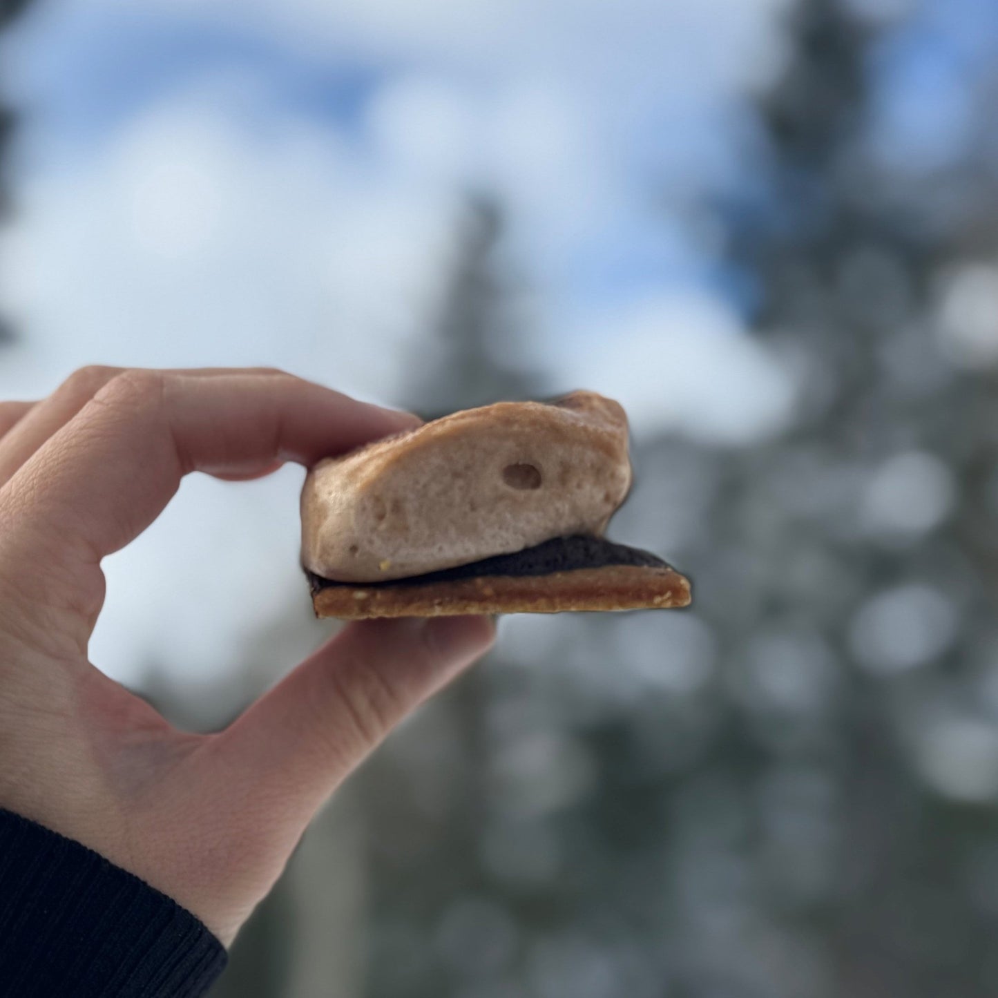 SHMOREZ - Goldenberryz